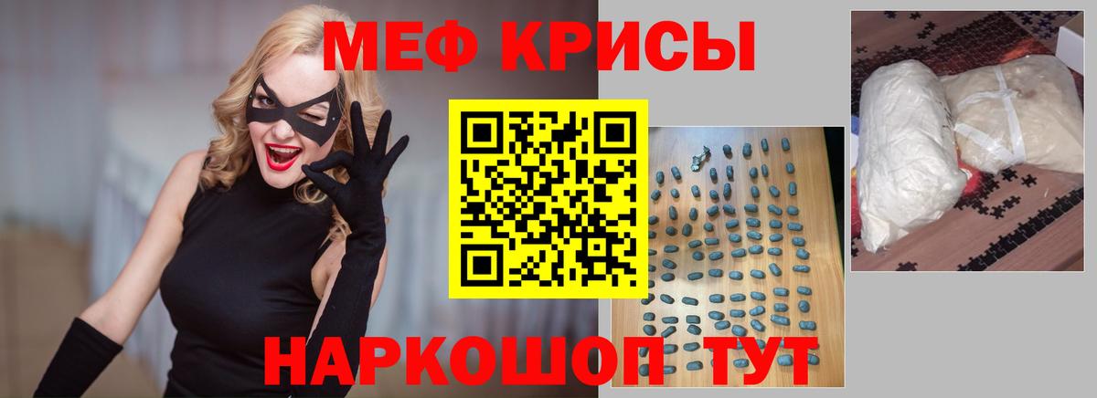 МЕФ  Новозыбков