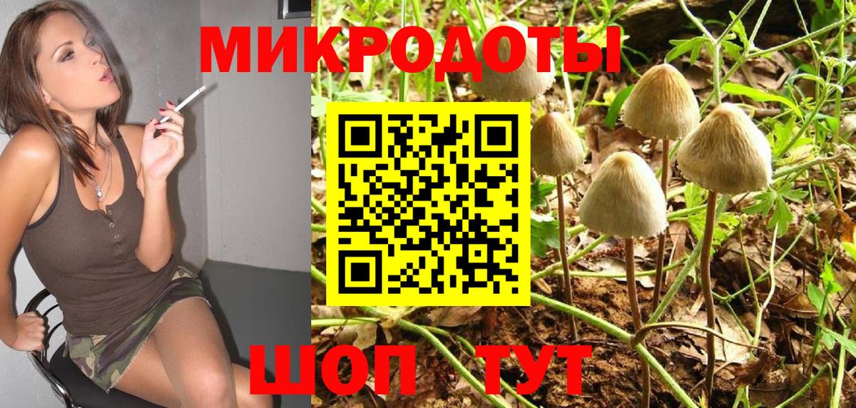 Новозыбков  Псилоцибиновые грибы Psilocybine cubensis  Галлюциногенные грибы прущие грибы  Вход с VPN 