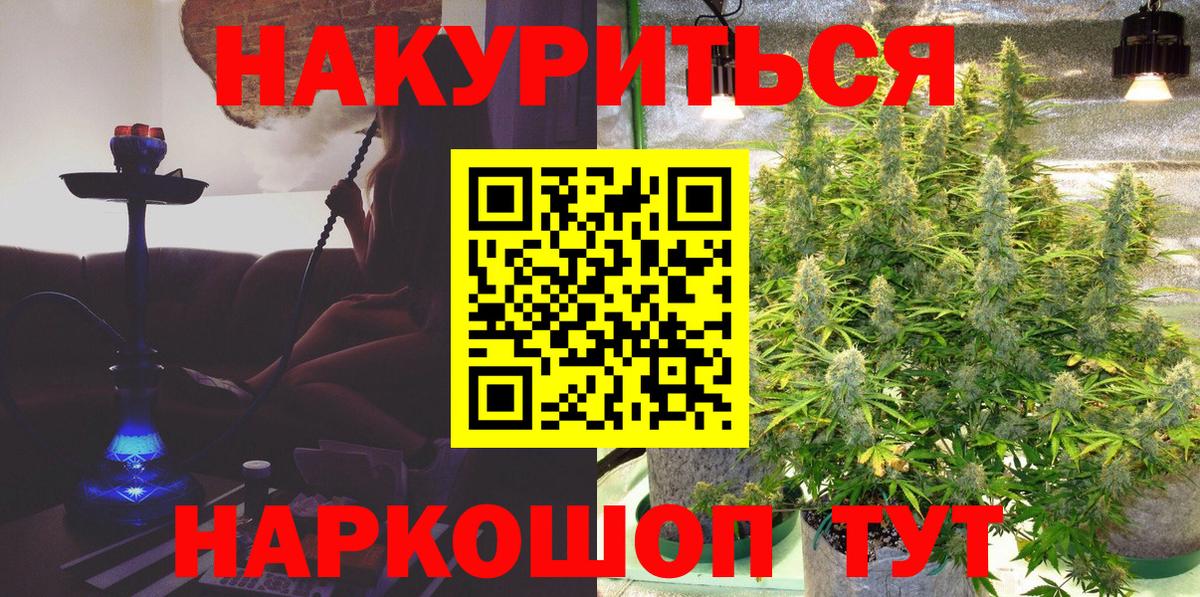 Марихуана марихуана Новозыбков